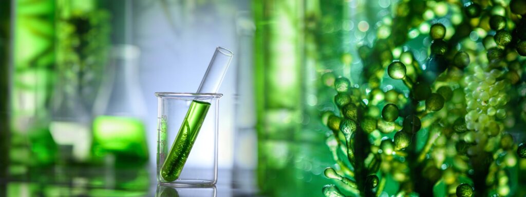 Green Chemistry