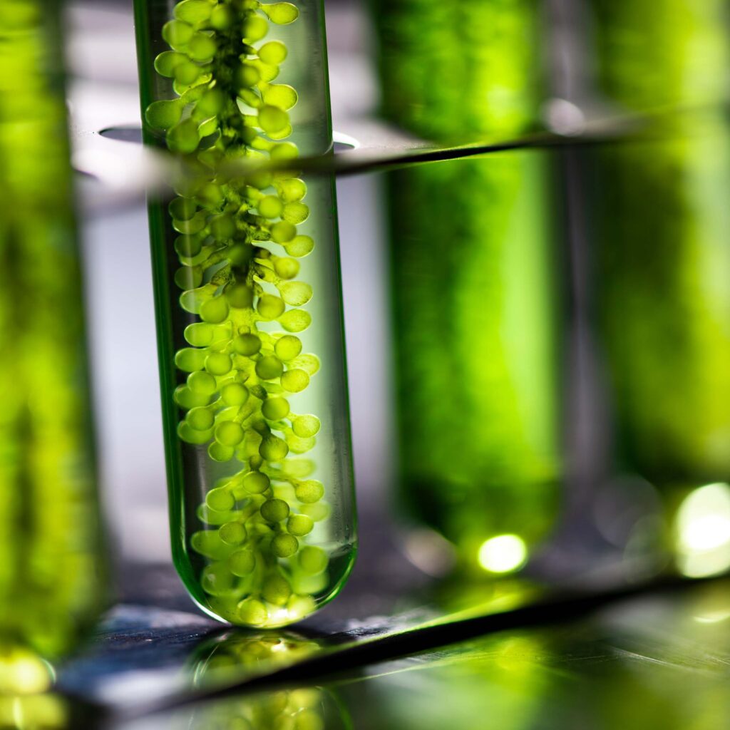 Green Chemistry